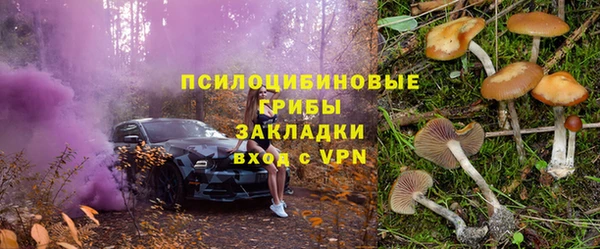 ECSTASY Нязепетровск
