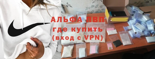 стаф Абинск