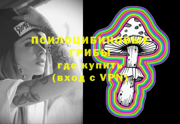 ECSTASY Нязепетровск