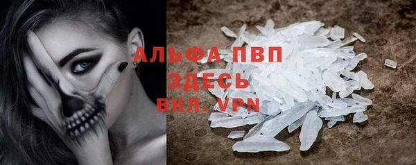 стаф Абинск