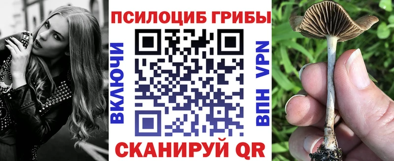 продажа наркотиков Южа Псилоцибиновые грибы Cubensis