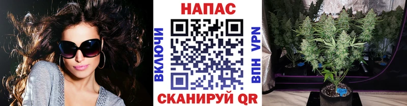 Конопля ГИДРОПОН  Южа 